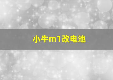 小牛m1改电池