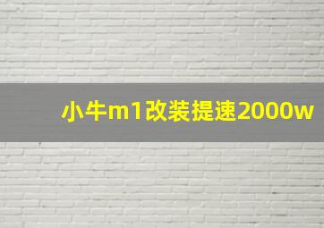 小牛m1改装提速2000w