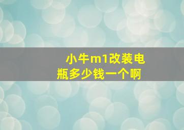 小牛m1改装电瓶多少钱一个啊