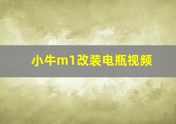 小牛m1改装电瓶视频