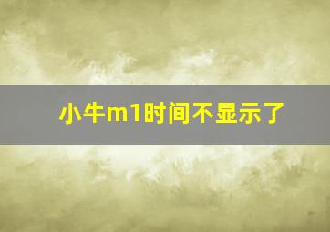 小牛m1时间不显示了