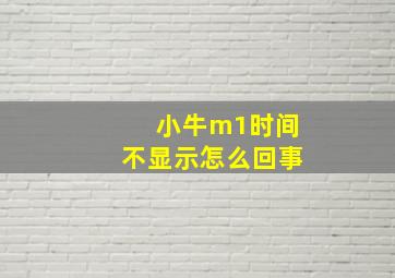 小牛m1时间不显示怎么回事