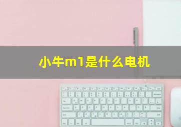 小牛m1是什么电机