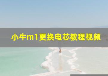 小牛m1更换电芯教程视频