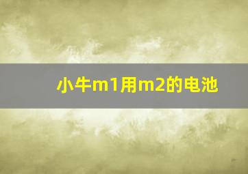 小牛m1用m2的电池