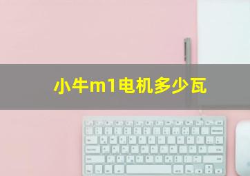 小牛m1电机多少瓦