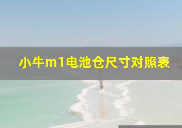 小牛m1电池仓尺寸对照表