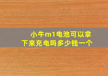 小牛m1电池可以拿下来充电吗多少钱一个