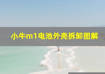 小牛m1电池外壳拆卸图解