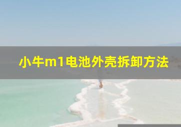 小牛m1电池外壳拆卸方法