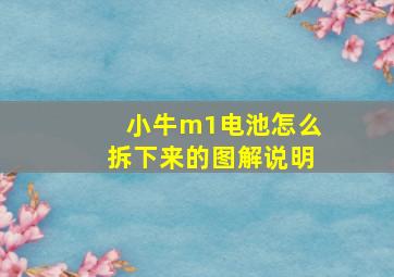 小牛m1电池怎么拆下来的图解说明