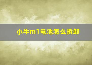 小牛m1电池怎么拆卸