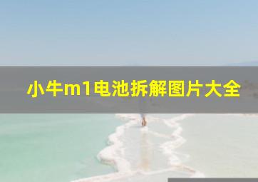 小牛m1电池拆解图片大全