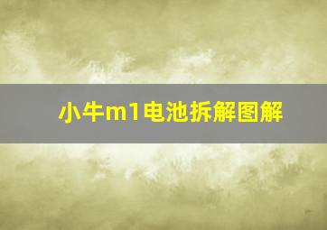 小牛m1电池拆解图解