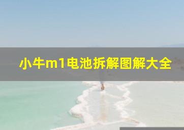 小牛m1电池拆解图解大全