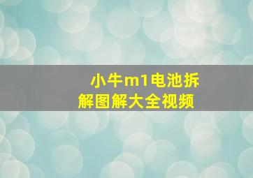 小牛m1电池拆解图解大全视频