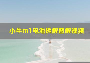 小牛m1电池拆解图解视频