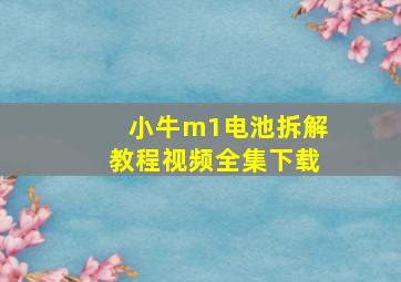 小牛m1电池拆解教程视频全集下载