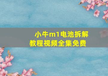 小牛m1电池拆解教程视频全集免费