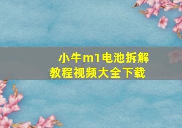 小牛m1电池拆解教程视频大全下载