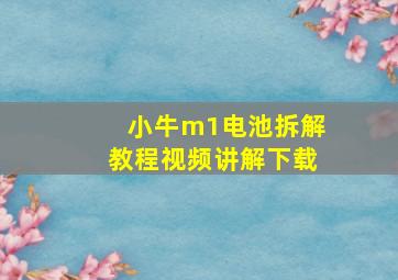 小牛m1电池拆解教程视频讲解下载