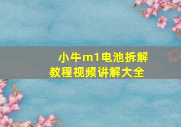 小牛m1电池拆解教程视频讲解大全