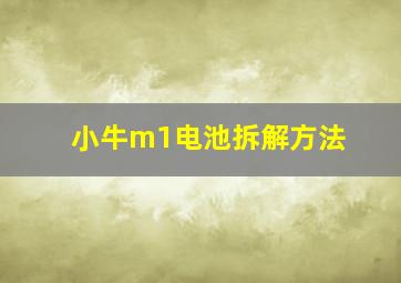 小牛m1电池拆解方法