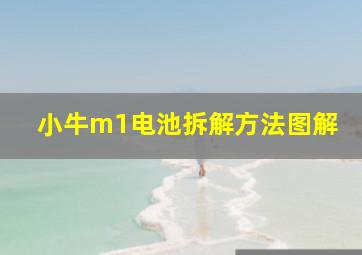 小牛m1电池拆解方法图解