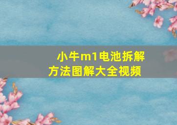 小牛m1电池拆解方法图解大全视频