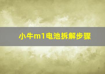 小牛m1电池拆解步骤