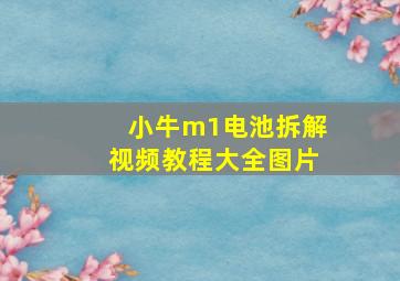 小牛m1电池拆解视频教程大全图片