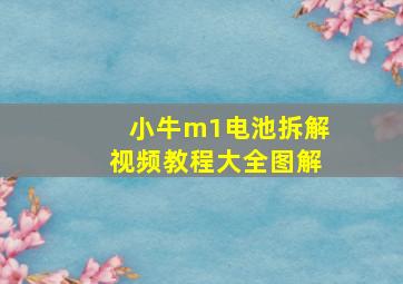 小牛m1电池拆解视频教程大全图解