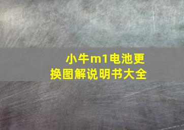 小牛m1电池更换图解说明书大全