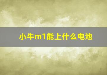 小牛m1能上什么电池