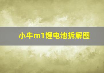 小牛m1锂电池拆解图