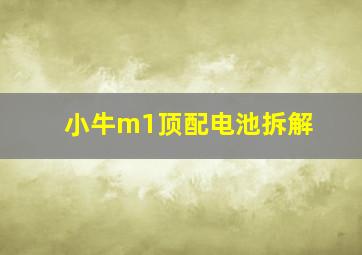 小牛m1顶配电池拆解