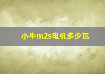 小牛m2s电机多少瓦