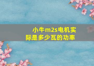 小牛m2s电机实际是多少瓦的功率