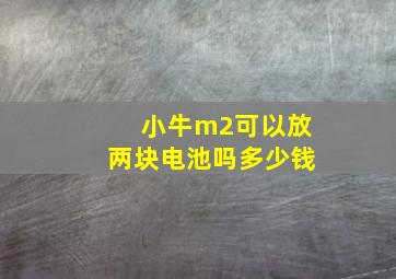 小牛m2可以放两块电池吗多少钱