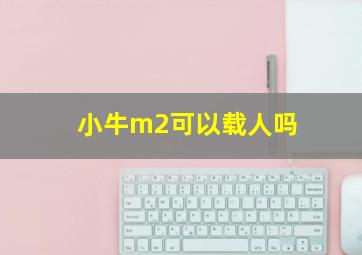 小牛m2可以载人吗