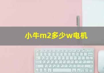 小牛m2多少w电机