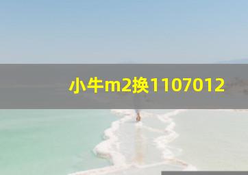 小牛m2换1107012