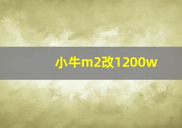 小牛m2改1200w