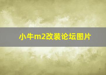 小牛m2改装论坛图片