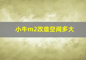 小牛m2改造空间多大