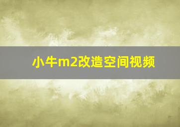 小牛m2改造空间视频