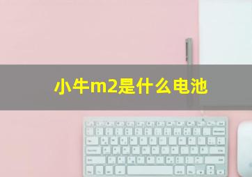 小牛m2是什么电池