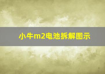 小牛m2电池拆解图示