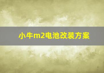 小牛m2电池改装方案