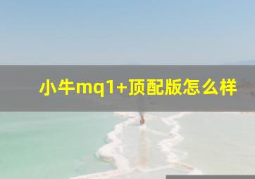 小牛mq1+顶配版怎么样